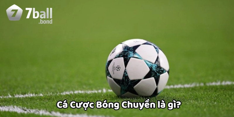 Cá Cược Bóng Chuyền là gì?