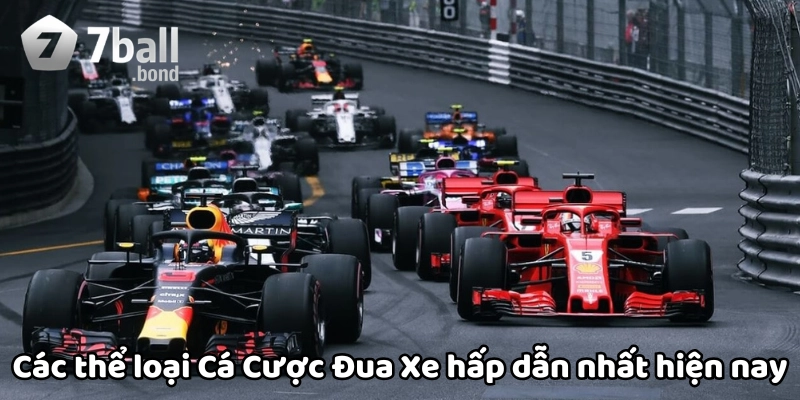 Các thể loại Cá Cược Đua Xe hấp dẫn nhất hiện nay