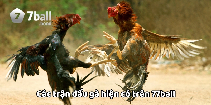 Trận đấu hiện có trên 77ball 