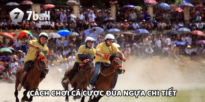Cách chơi cá cược đua ngựa chi tiết