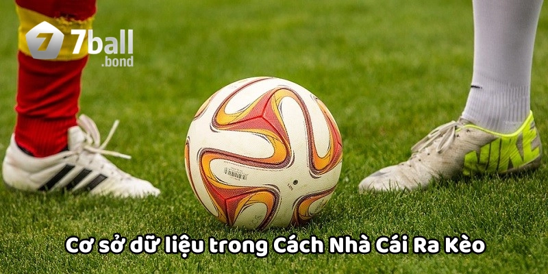 Cơ sở khi Nhà Cái Ra Kèo