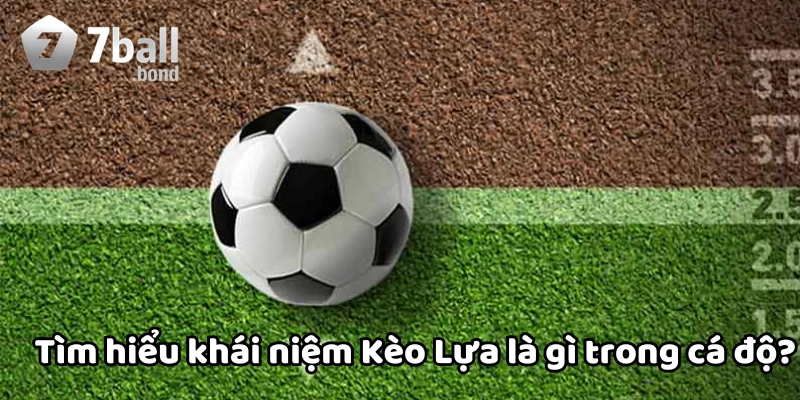 Kèo Lựa là gì