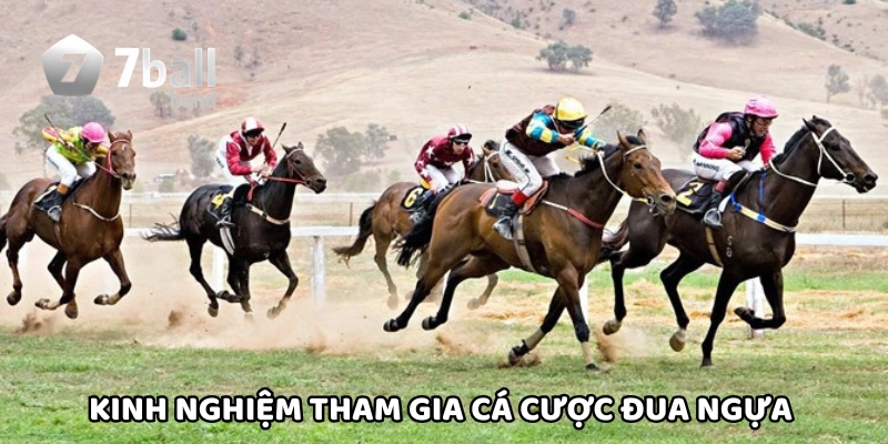 Kinh nghiệm tham gia cá cược đua ngựa thắng lớn