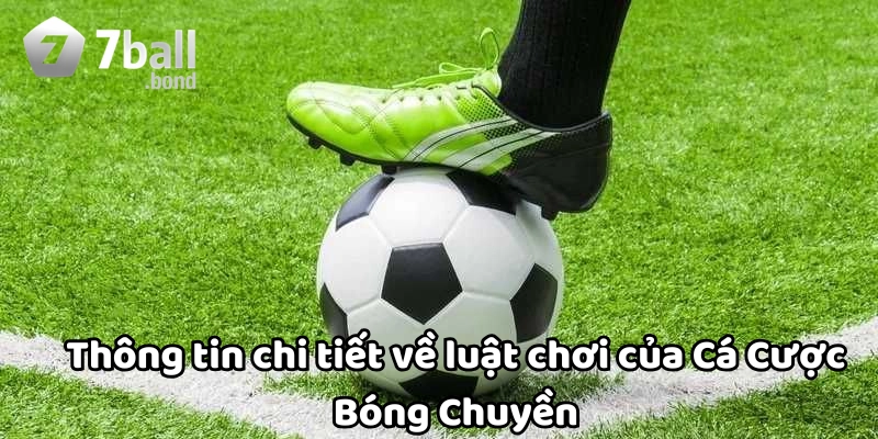 Luật chơi của Cá Cược Bóng Chuyền