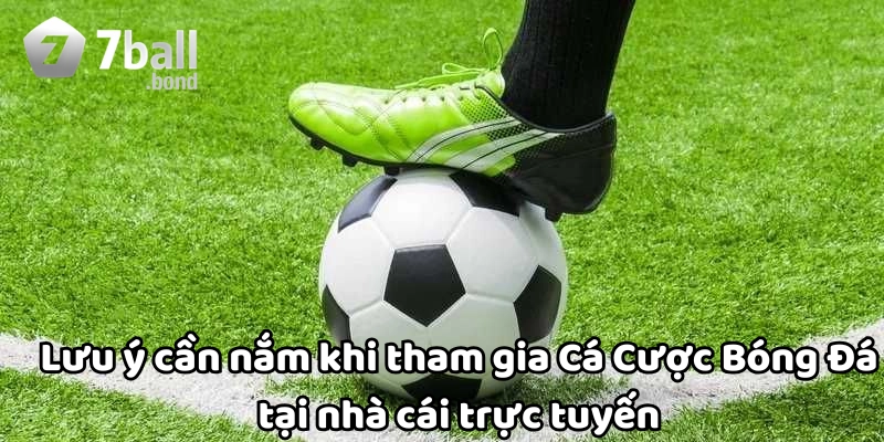 Cá cược bóng đá