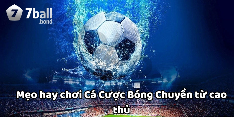 Mẹo hay chơi Cá Cược Bóng Chuyền từ cao thủ