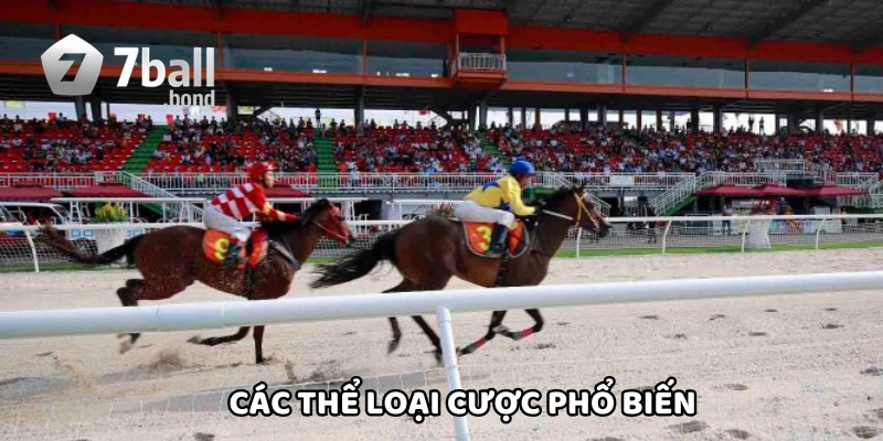 Thể loại cược phổ biến