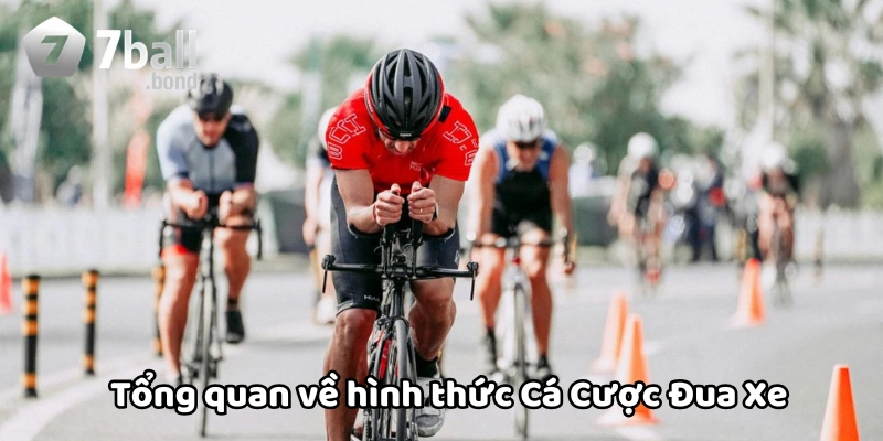 Tổng quan về Cá Cược Đua Xe 