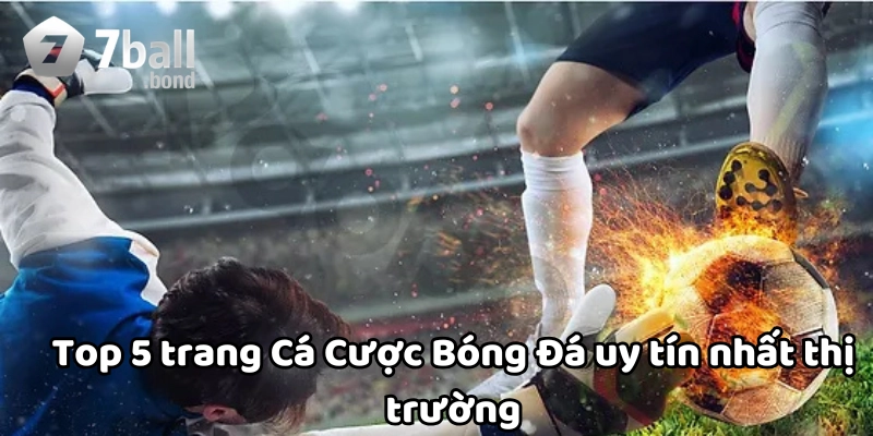 Top 5 trang Cá Cược Bóng Đá uy tín nhất thị trường
